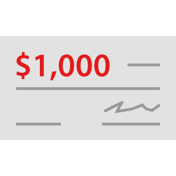 Cheque icon