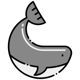 Whale icon