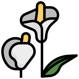 Araceae icon