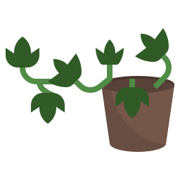English ivy icon