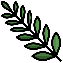 シダ植物 icon