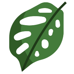 feuille de monstera Icône