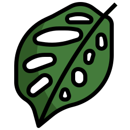 monstera 잎 icon