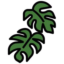 monstera 잎 icon