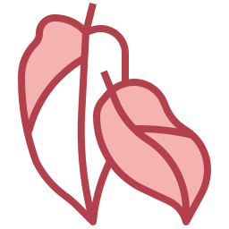 Philodendron icon