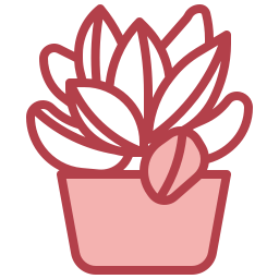 Succulent icon