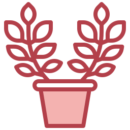 zamioculcas icon