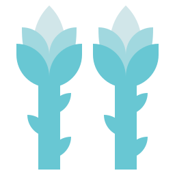 Asparagus icon