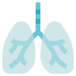 Lungs icon