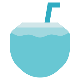 Coconut drink icon