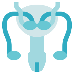 Reproductive system icon