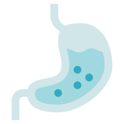 Stomach icon