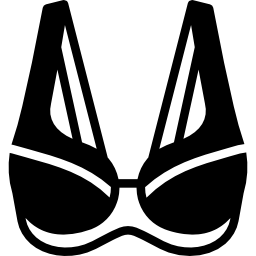 Brassiere icon