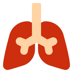 Lungs icon