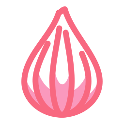 Onion icon