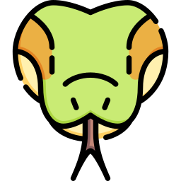 python icoon