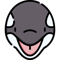 Killer whale icon