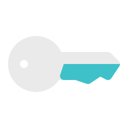 Key icon