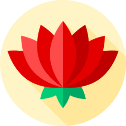 loto icona