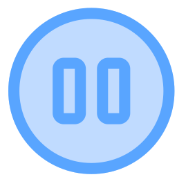 Pause button icon