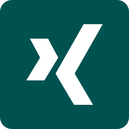 Xing icon