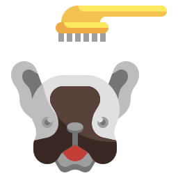Pet brush icon