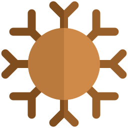 Coronavirus icon