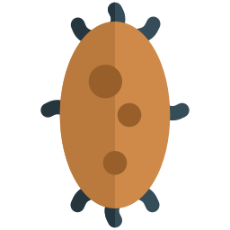 Microorganism icon