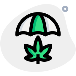 Umbrella icon