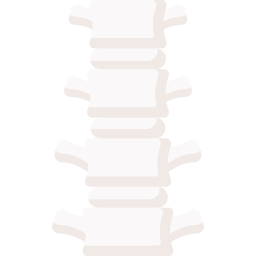 脊椎 icon