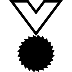 스포츠 메달 icon