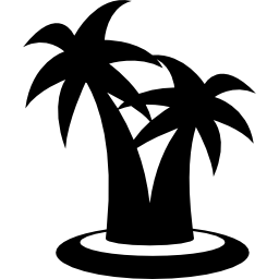 Palm trees couple icon