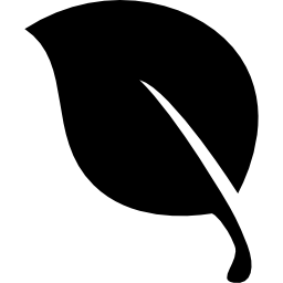 Leaf black natural shape icon