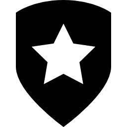 symbole d'étoile de sécurité Icône