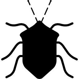 insetto nero a forma di insetto dalla vista dall'alto icona