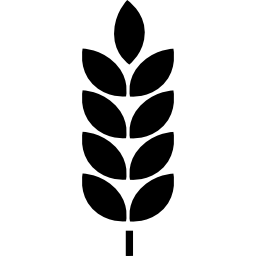 Plant leaves icon