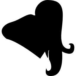 femme cheveux forme noire Icône