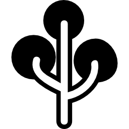 세 개의 단풍 원이있는 나무 icon