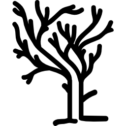 Tree of irregular shape branches on winter without leaves icon