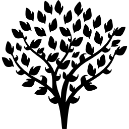 Tree with thin branches covered by leaves icon