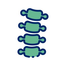 rachiocampsis icoon