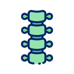 Spinal column icon