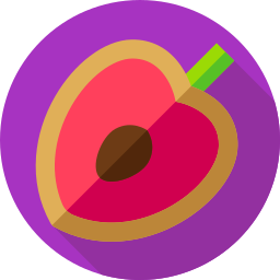 zapote icon