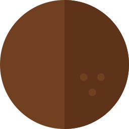 Coconut icon