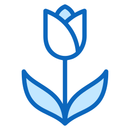 tulpe icon