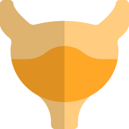 膀胱 icon
