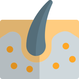 Dermis icon