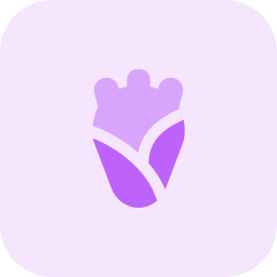 Heart icon