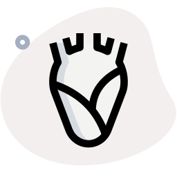 Heart icon