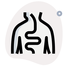 인간의 몸 icon